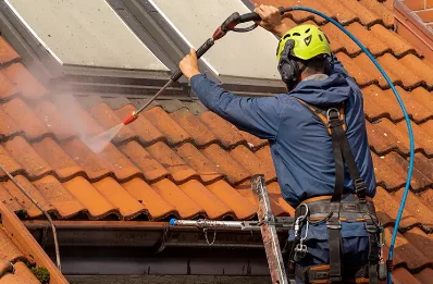 Démoussage et hydrofuge de toiture à Lupsault